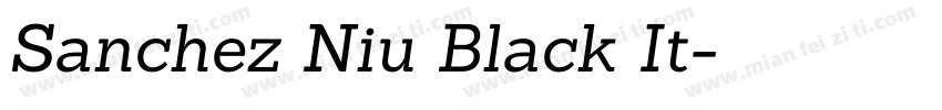 Sanchez Niu Black It字体转换
